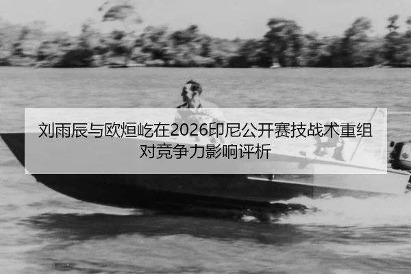liu-yu-chen-yu-ou-xuan-yi-zai-yin-ni-gong-kai-sai-ji-zhan-shu-chong-zu-dui-jing-zheng-li-ying-xiang-ping-xi-2-580.jpg